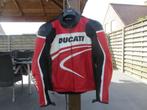 Ducati motorpak, Motoren, Kleding | Motorkleding, Ophalen, Dainese, Tweedehands, Heren