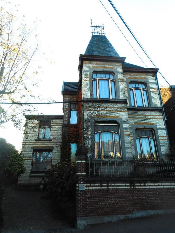 groot huis te koop met professioneel gedeelte, Immo, Huizen en Appartementen te koop, Provincie Luik, 1500 m² of meer, Woning met bedrijfsruimte