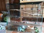 Hamsterkooi met accessoires inbegrepen, Dieren en Toebehoren, Ophalen, Kooi, Gebruikt, 60 tot 90 cm