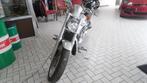 Harley Davidson V-ROD, Motos, 1131 cm³, Autre, 2 cylindres, Plus de 35 kW