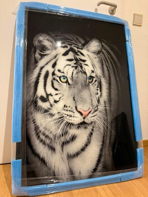 Luxe glasprint witte tijger – Nieuw en ongebruikt, Antiek en Kunst, Kunst | Schilderijen | Modern, Ophalen