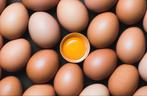 Dagelijks verse eitjes van kippen uit onze tuin ., Ophalen of Verzenden