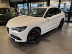 Alfa Romeo Stelvio Tributo Italiano, Automaat, 1998 cc, Wit, 200 g/km