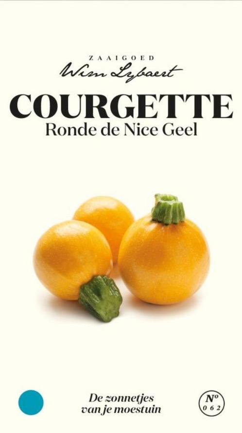 courgette ronde de Nice GEEL courgetteplanten, Tuin en Terras, Planten | Tuinplanten, Eenjarig, Groenteplanten, Halfschaduw, Zomer