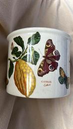 Botanische theepottuin circa 1818, Gebruikt, Rond, Binnen, Ophalen of Verzenden