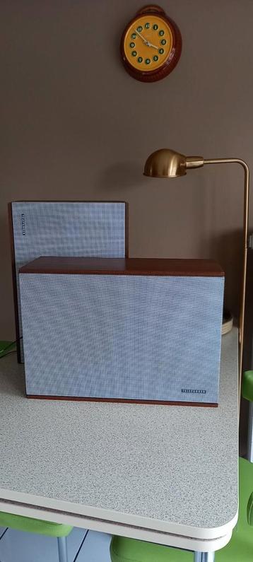 Telefunken L250 luidsprekers acusta reeks.  beschikbaar voor biedingen