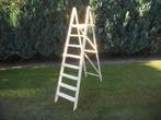 Houten ladder (oud) voor decoratie (bloemenstandaard) D, Tuin en Terras, Ophalen of Verzenden