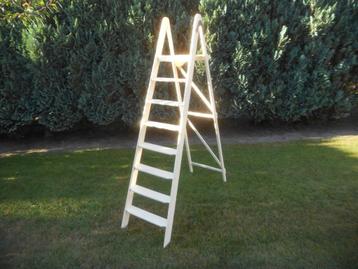 Houten ladder (oud) voor decoratie (bloemenstandaard) D beschikbaar voor biedingen