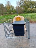 Kalverhut te koop - 2 stuks, Dieren en Toebehoren, Runderen