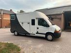 Paarden camionette Renault Master dubbel cabine, Dieren en Toebehoren, Paarden en Pony's | Trailers en Aanhangwagens, Ophalen