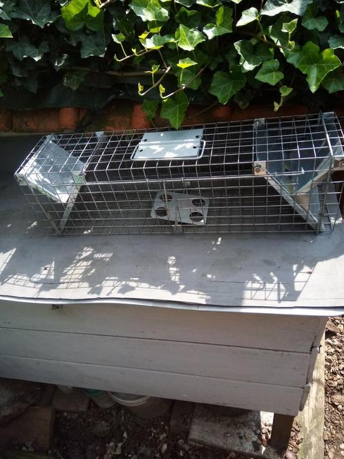 Ratten Vangkooi met 2 ingangen, zo goed als nieuw, Dieren en Toebehoren, Vogels | Hokken en Kooien, Zo goed als nieuw, Overige typen