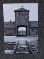 Turm, Poort, Auschwitz Birkenau grote foto 45 x 31 cm, 2010, Antiek en Kunst, Verzenden