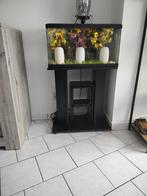 Aquarium, licht, filter, tafel, water, verwarming+decoratie, Dieren en Toebehoren, Vissen | Aquaria en Toebehoren, Ophalen, Zo goed als nieuw