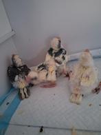 kakariki, Dieren en Toebehoren, Geringd