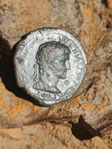 Caligula (L) and his father germanicus (R) beschikbaar voor biedingen