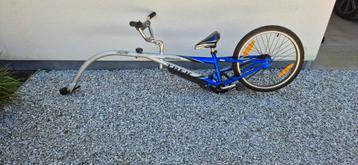 Aanhangfiets, Fietsen en Brommers, Fietsaccessoires | Aanhangwagens en Karren, Ophalen, Gebruikt, Aanhangfiets
