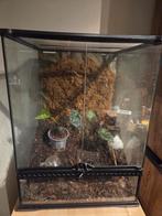 Paludarium, Enlèvement