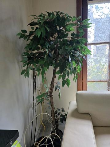 Kunstplanten.per stuk of alles samen 6 stuks beschikbaar voor biedingen