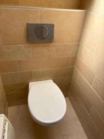 WC suspendu, Enlèvement, Utilisé, Toilettes