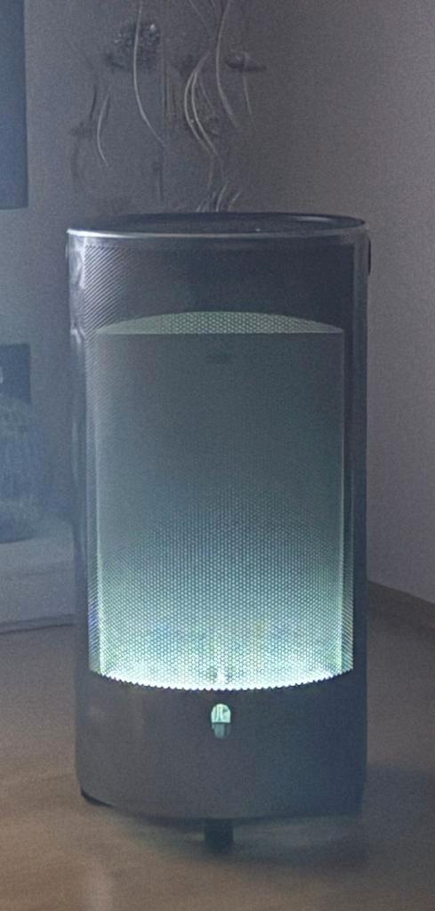 Rowi gasverwarming Blue Flame 4200W – butaan/propaan – €70, Huis en Inrichting, Haarden, Zo goed als nieuw, Ophalen