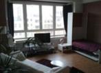 zonnige studio te huur, Immo, Appartementen en Studio's te huur, 20 tot 35 m², Antwerpen (stad)