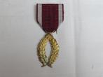 Medaille Gouden  Palmen in de Kroonorde, Verzamelen, Ophalen of Verzenden, Lintje, Medaille of Wings