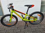 Mountainbike Cube Acid 200 20 inch, Fietsen en Brommers, Ophalen