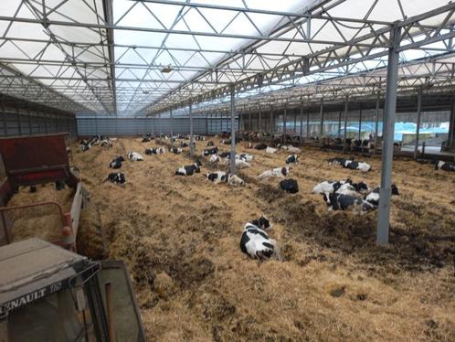 stalmest, Zakelijke goederen, Landbouw | Werktuigen, Akkerbouw, Bollenteelt, Boomteelt, Fruitteelt, Vollegrondsgroente, Overige typen