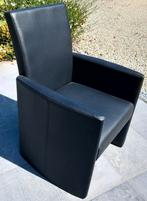 Grijs zeteltje in goede staat, Enlèvement