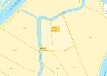 Perceel Bosgrond +/- 5300m2 beschikbaar voor biedingen