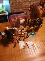 Lot spirit paarden en eigenaars, Enlèvement