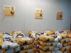 mais, tarwe, graanmix, legkorrels, kuikenmeel, .., Dieren en Toebehoren, Pluimvee