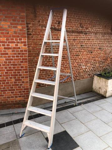 Professionele enkele trapladder Solide beschikbaar voor biedingen