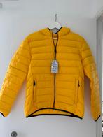 US POLO donsjack - nieuw in de doos, Ophalen of Verzenden, Nieuw, Geel