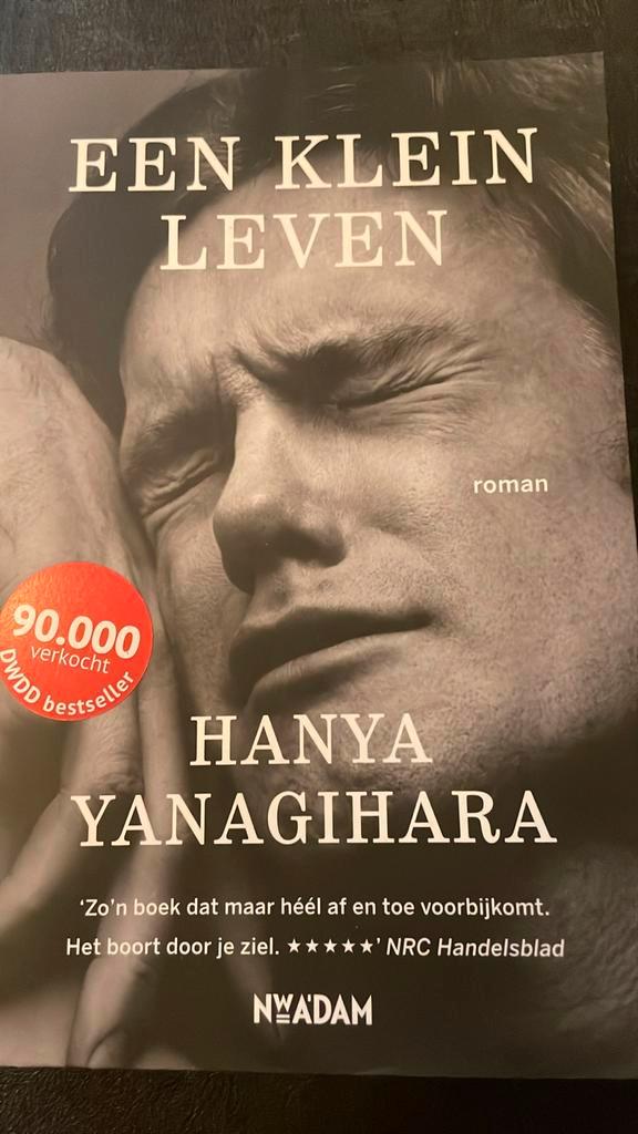 Hanya Yanagihara - Een klein leven, Boeken, Literatuur, Zo goed als nieuw, Ophalen