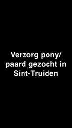 Verzorg pony/paard gezocht in Sint-Truiden, Enlèvement