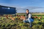 Leghen vrijeuitloop, Dieren en Toebehoren, Overige Dieren, Vrouwelijk