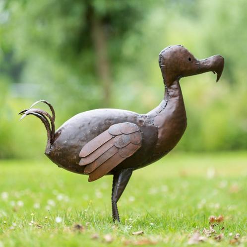 Beaux oiseaux - Statue de dodo, Animaux & Accessoires, Oiseaux | Oiseaux Autre, Oiseau tropical, Sexe inconnu