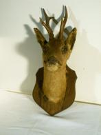 Tête de cerf, Enlèvement ou Envoi, Utilisé, Animal sauvage, Bois ou Tête