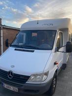 Mercedes arca mobilhome, Caravans en Kamperen, Bedrijf