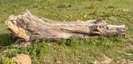 Brandhout gratis, Tuin en Terras, Brandhout, Ophalen