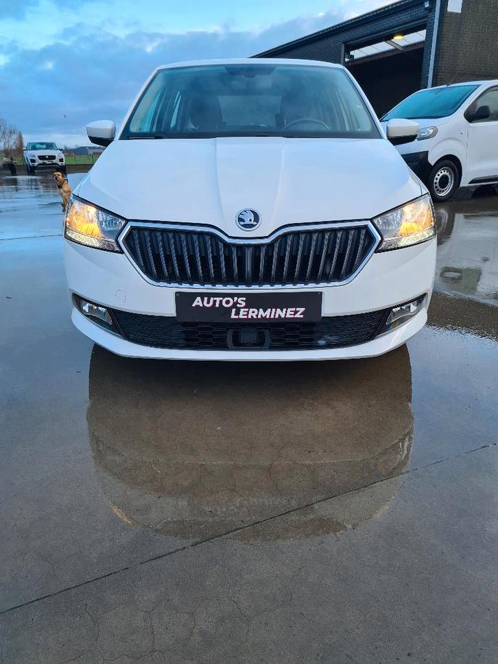 skoda fabia business 1.0 benzine, Auto's, Skoda, Bedrijf, Fabia, ABS, Adaptive Cruise Control, Airbags, Airconditioning, Apple Carplay