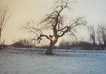 Fotoblok beschikbaar voor biedingen
