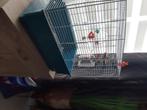 Belle cage pour canaris, Animaux & Accessoires, Oiseaux | Cages & Volières, Enlèvement, Comme neuf, Cage à oiseaux