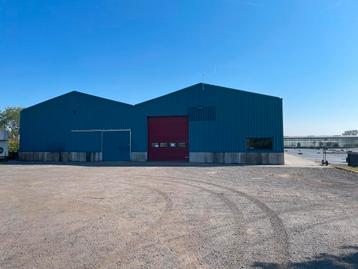 Tuinbouwbedrijf te huur, Zakelijke goederen, Bedrijfs Onroerend goed, 10000 m², Huur, Bedrijfsruimte