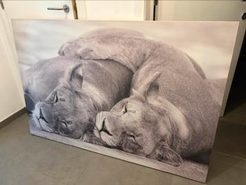 Canvas beschikbaar voor biedingen