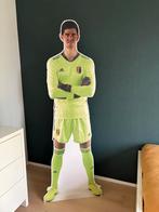 Levensgrote Thibeau Courtois karton, Verzamelen, Ophalen, Zo goed als nieuw