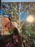 Opvang kleinvee geiten schapen konijnen enz, Dieren en Toebehoren