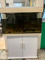 Aquarium - terrarium, Dieren en Toebehoren, Ophalen, Gebruikt, Leeg aquarium