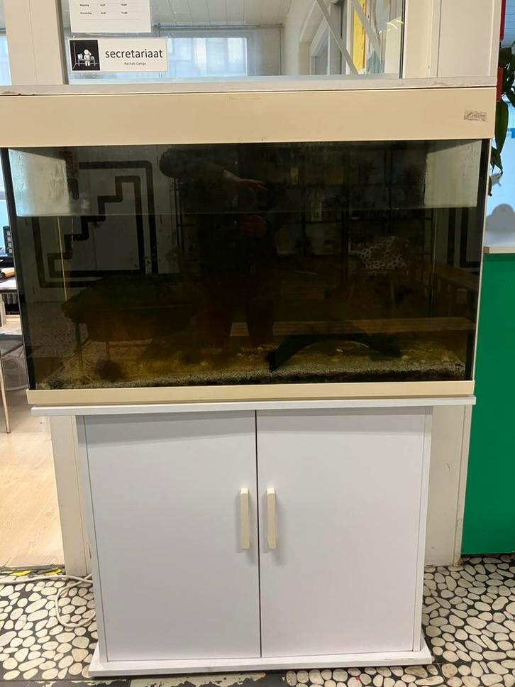 Aquarium - terrarium, Animaux & Accessoires, Poissons | Aquariums & Accessoires, Utilisé, Aquarium vide, Enlèvement